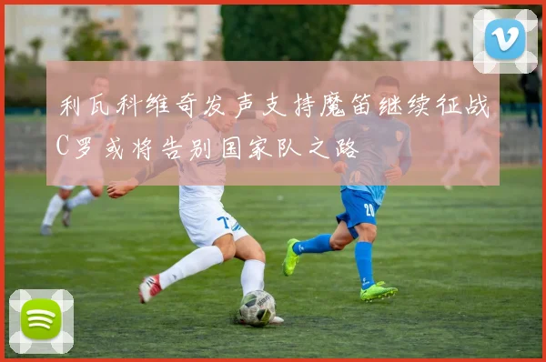利瓦科维奇发声支持魔笛继续征战C罗或将告别国家队之路